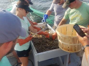 THE SHRIMP ARE HERE!!!!