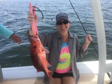 Navarre Report Photo 2