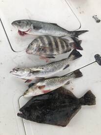 North Myrtle Beach Report Photo 2