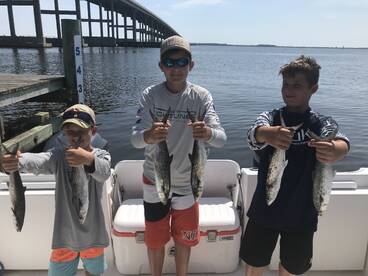 Spanish Mackerel