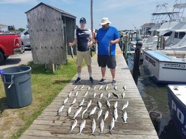 Nags Head Report Photo 1