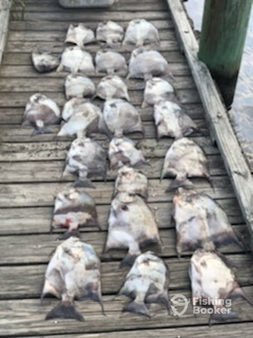 Poquoson Report Photo 0