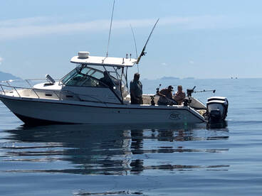 Comox Report Photo 1