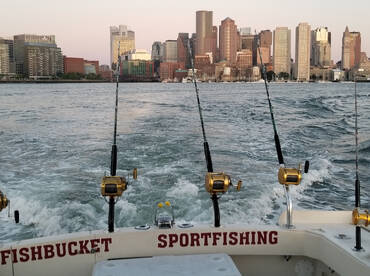 Boston Report Photo 2