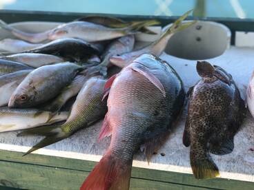 Marathon Report Photo 2