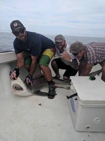 Dania Beach Report Photo 2