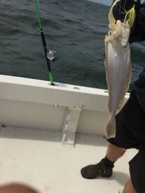 Lacey Township Report Photo 2