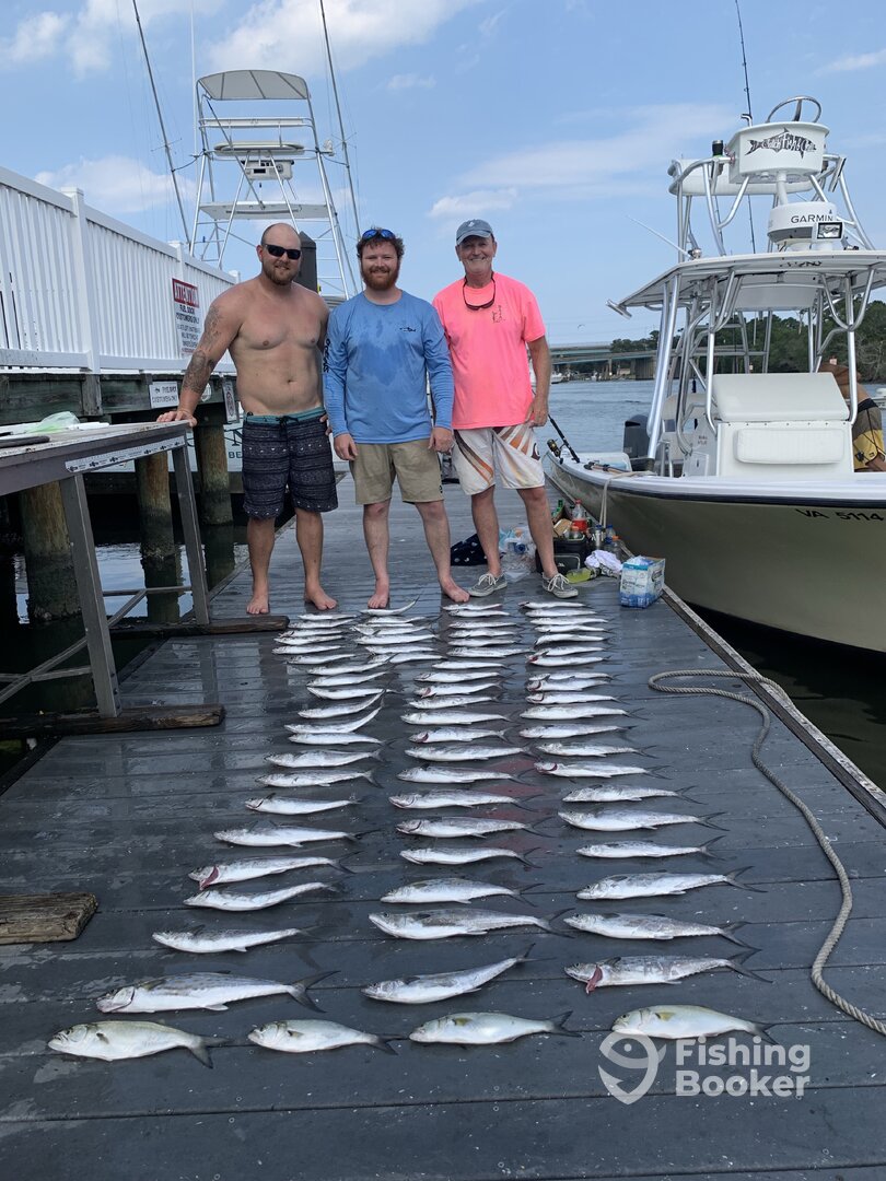 Virginia Beach Report Photo 0