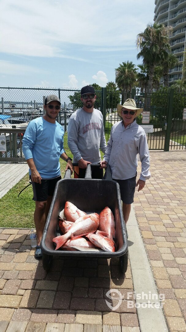 Orange Beach Report Photo 0