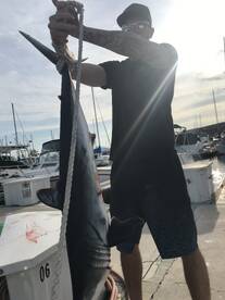 David's first shark