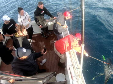 Sydney Report Photo 2