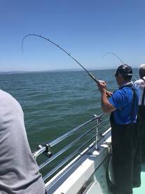 San Francisco Report Photo 1