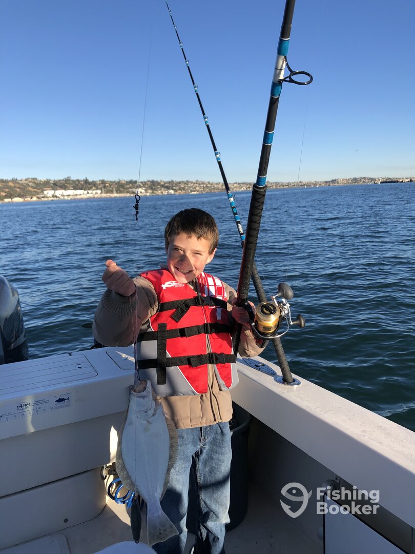 Halibut