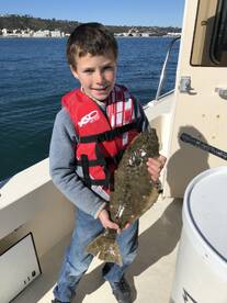 Halibut