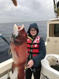 Sheepshead