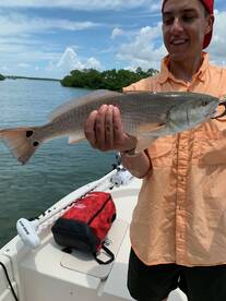 Bonita Springs Report Photo 1