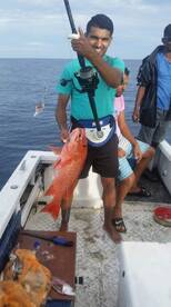Cuvu Report Photo 1