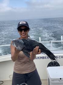 Montauk Report Photo 2