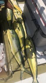 West Palm Beach Report Photo 1