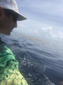 West Palm Beach Report Photo 2