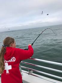 San Francisco Report Photo 2