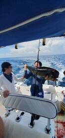 Panama City Report Photo 1