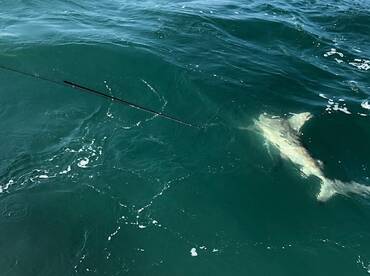 Beaufort Report Photo 2