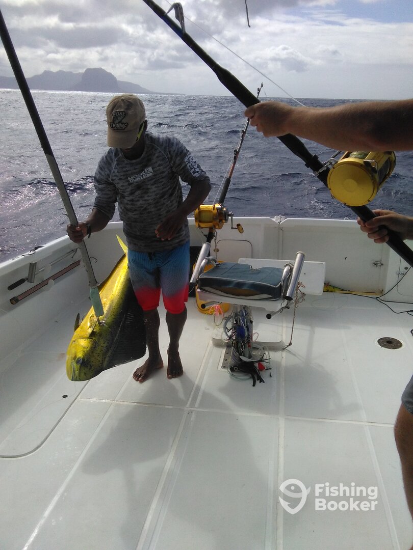 Le Morne Report Photo 0