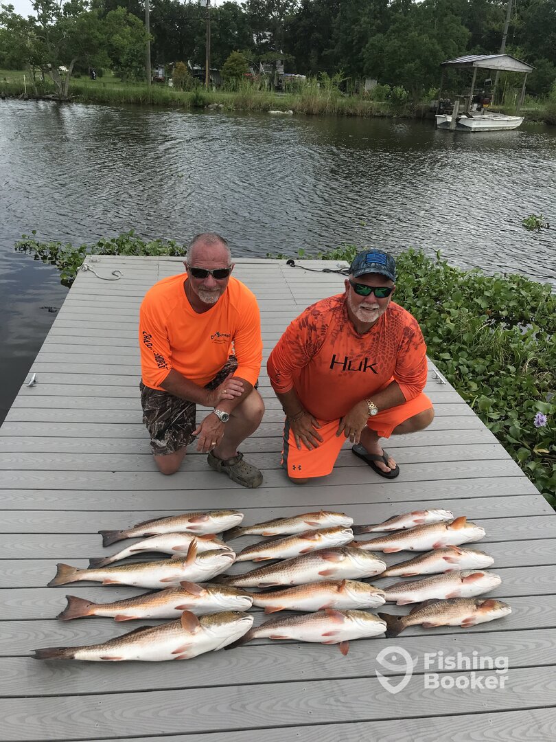 Houma Report Photo 0