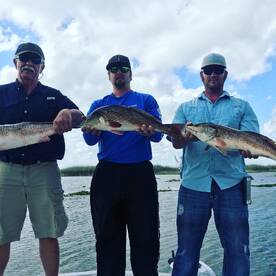 Houma Report Photo 2