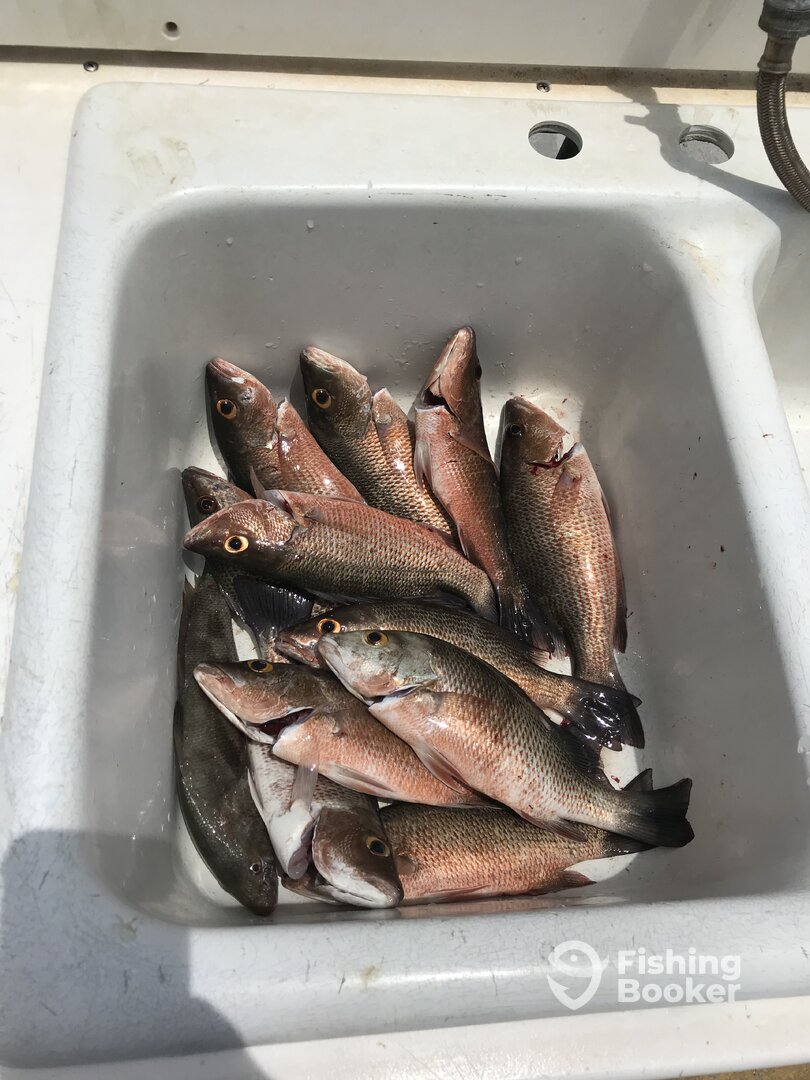 Marco Island Report Photo 0