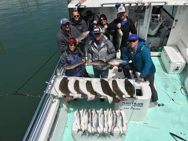 San Francisco Report Photo 2