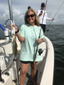 Sarasota Report Photo 2