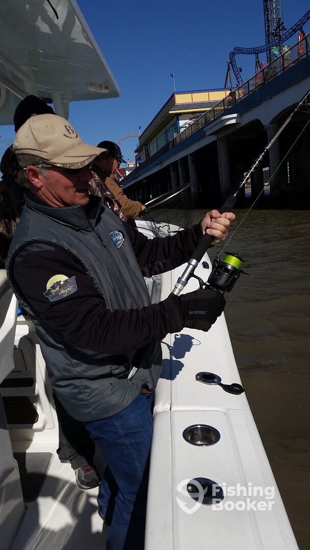 Galveston Report Photo 0
