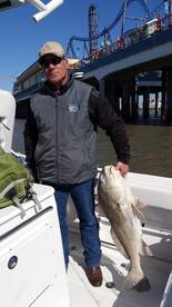 Galveston Report Photo 2