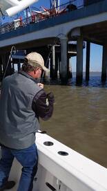 Galveston Report Photo 1