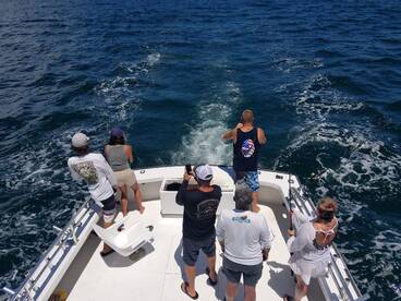 Nags Head Report Photo 2