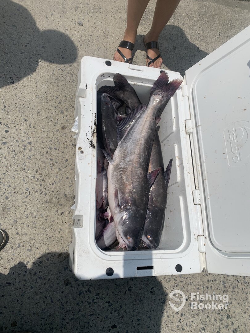 Tyner Report Photo 0