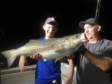 Bass Charter