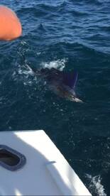 Fort Lauderdale Report Photo 1