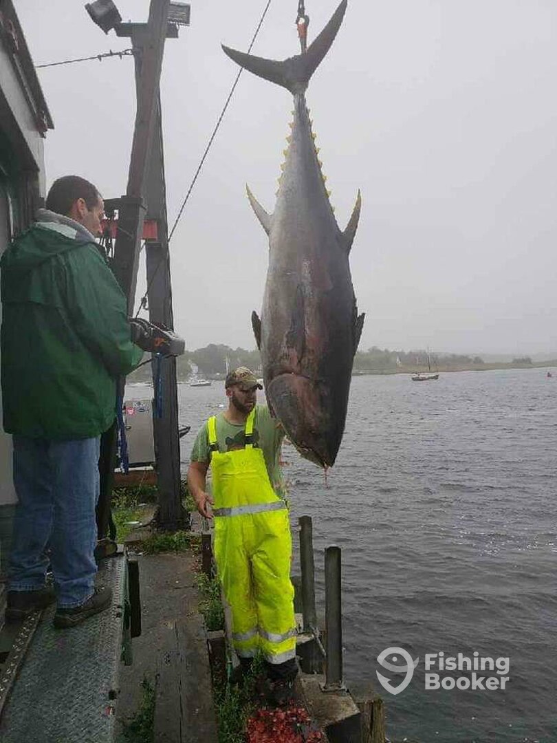 Newburyport Report Photo 0