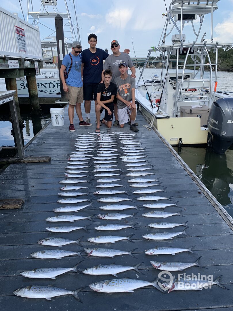 Virginia Beach Report Photo 0