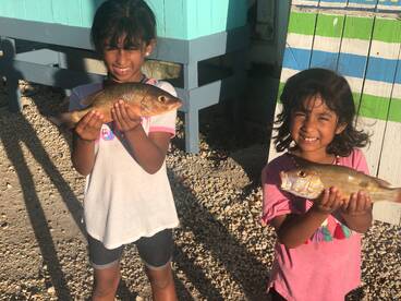 A 5 and 3 year old limit out on SNAPPERS