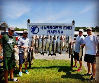 When they just won't stop BITING!!!