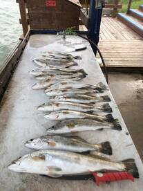 Trout bite is on fire 