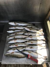 Port Mansfield Report Photo 2