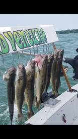 July 9th 2019 slow day 