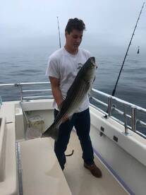 Montauk Report Photo 1