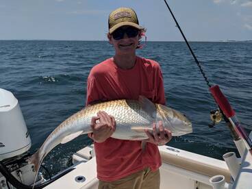Fish fish fish 