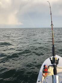 Evening trip!